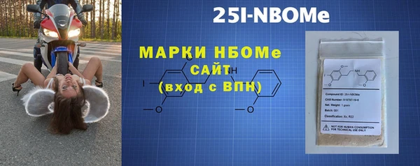 индика Ладушкин