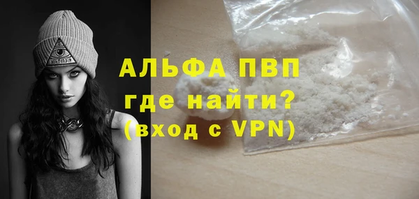 индика Ладушкин