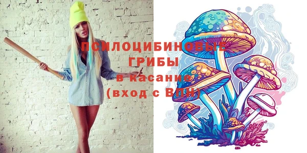ПСИЛОЦИБИНОВЫЕ ГРИБЫ Лихославль