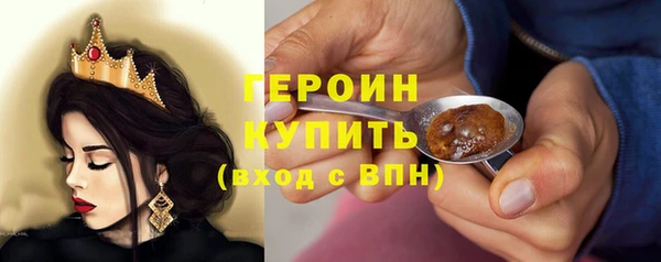 индика Ладушкин