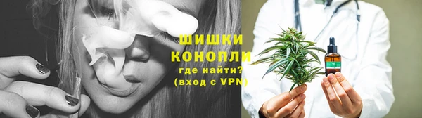 индика Ладушкин