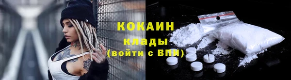 гашик Корсаков