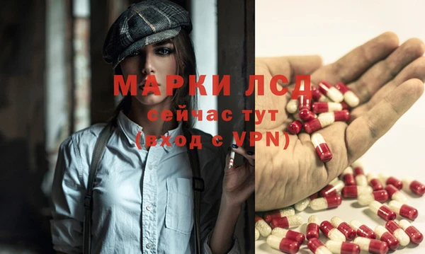 ПСИЛОЦИБИНОВЫЕ ГРИБЫ Лихославль