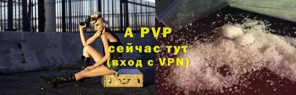 ПСИЛОЦИБИНОВЫЕ ГРИБЫ Лихославль